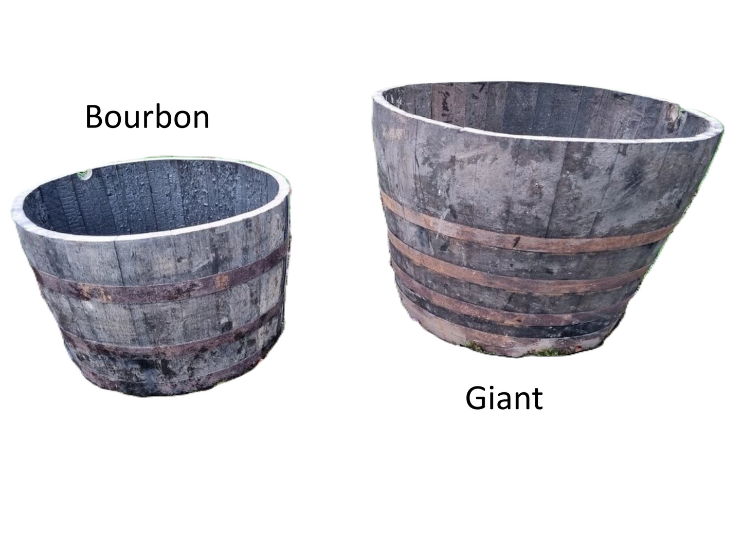 Half Giant Sherry Barrel